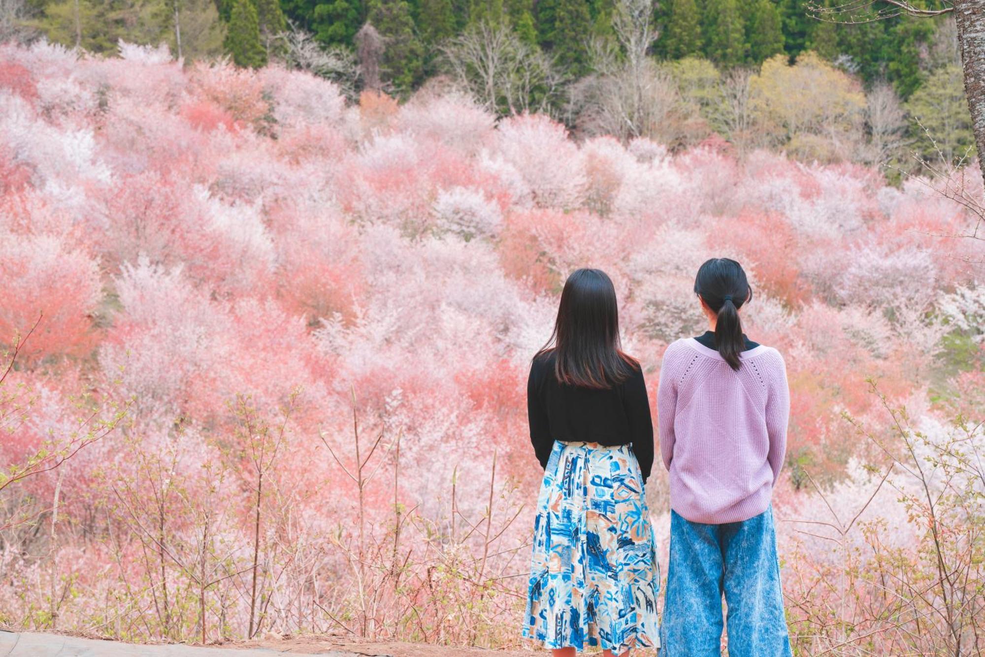 Urabandai Lake Resort Geihinkan Nekoma Rikyu Kitashiobara المظهر الخارجي الصورة