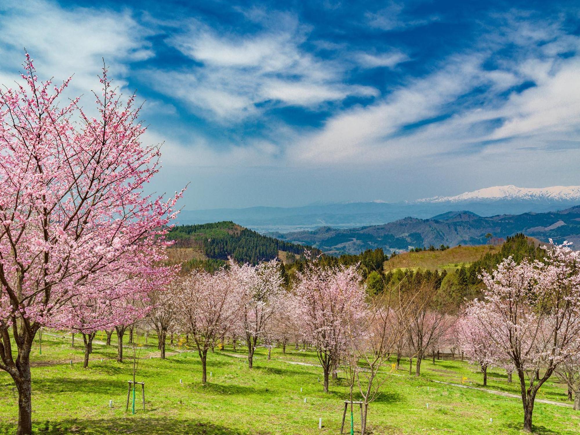 Urabandai Lake Resort Geihinkan Nekoma Rikyu Kitashiobara المظهر الخارجي الصورة