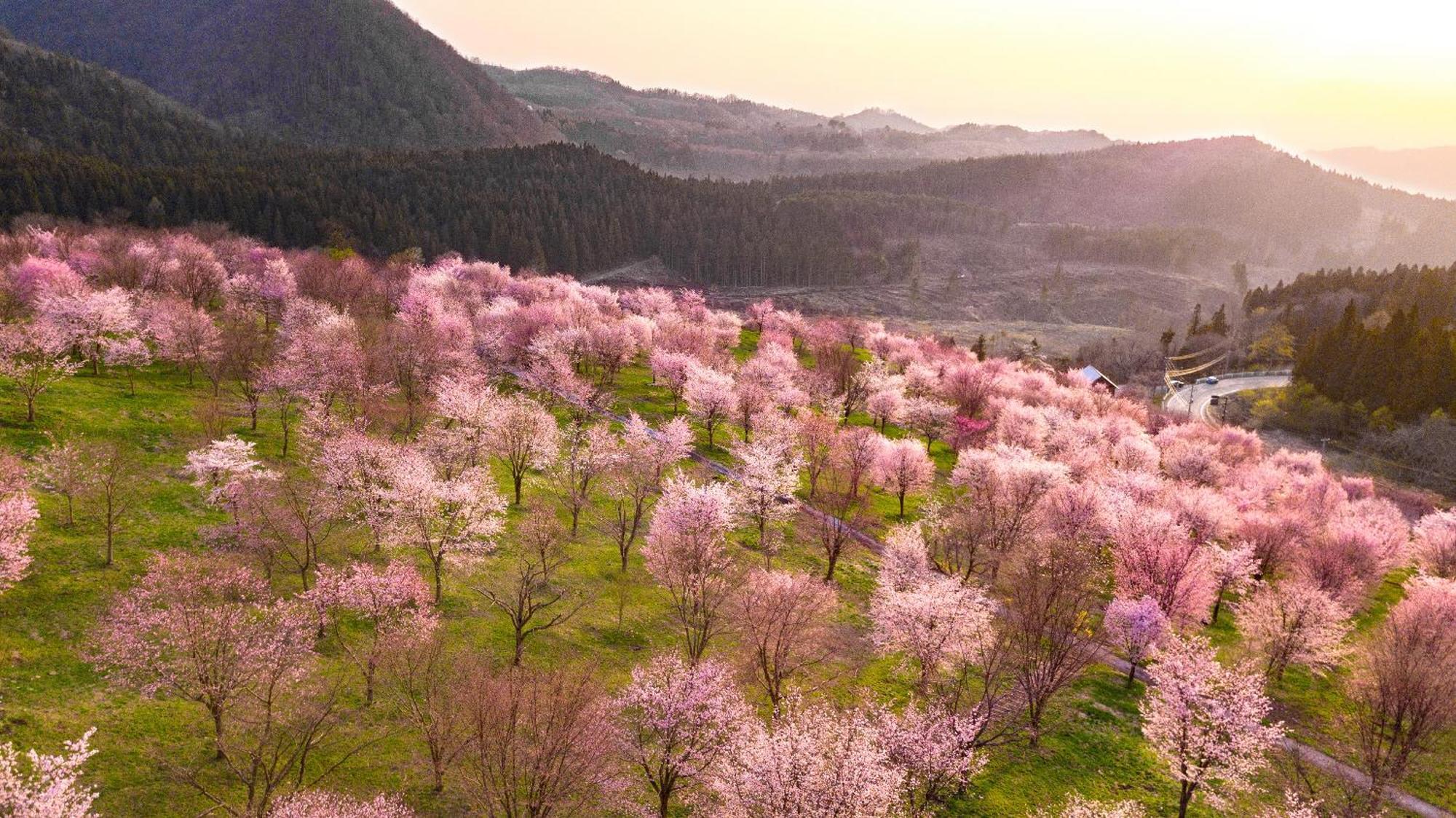 Urabandai Lake Resort Geihinkan Nekoma Rikyu Kitashiobara المظهر الخارجي الصورة
